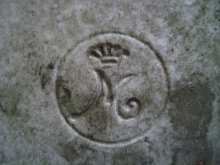 0000000000000000aDSC05643 (1).jpg