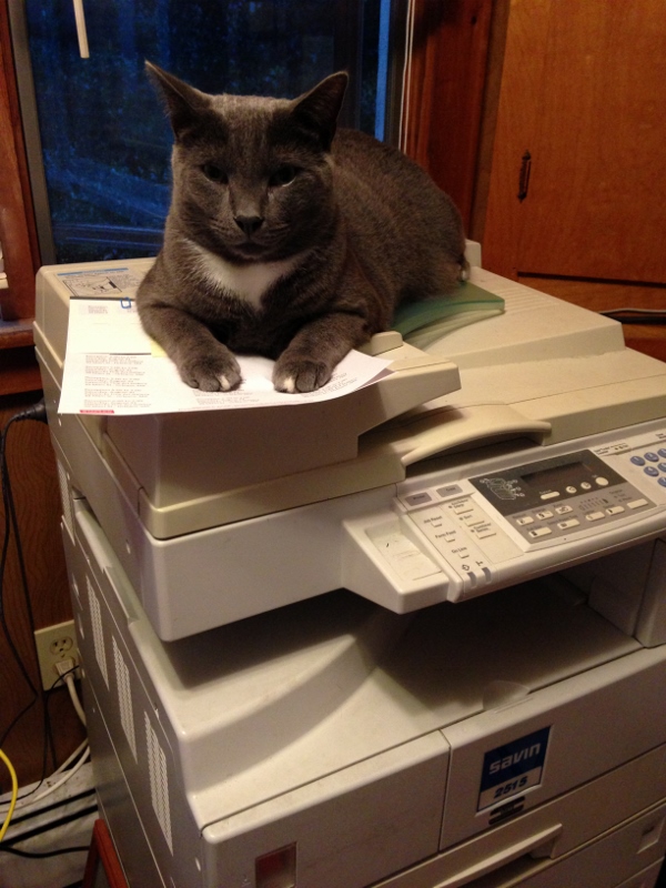 001 (10) (600x800).jpg