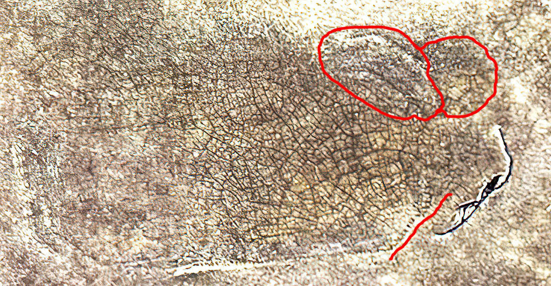 01111B53-9EAF-4432-AE48--standard-scale-3_00x-gigapixel-sharpen-Softness.jpg