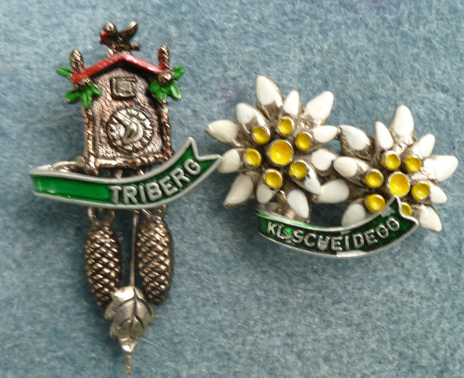 0514 edelweed 001.jpg