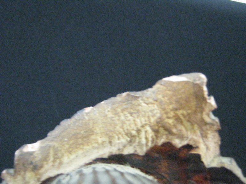 10-IMG_0065.JPG