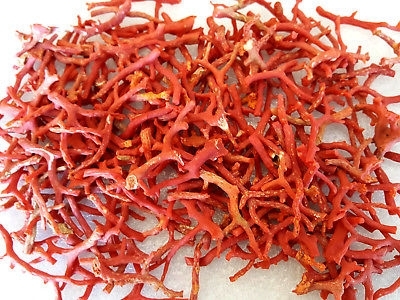 1000ct-Natural-Rough-Red-Coral-Branches.jpg