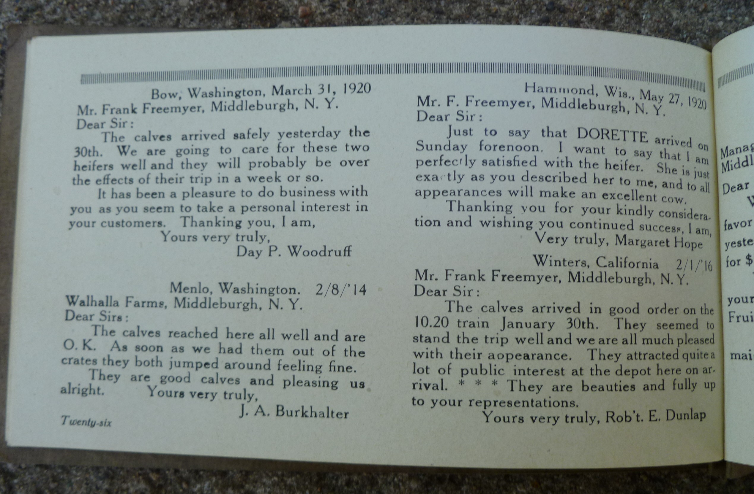 1009 walhalla 006.jpg