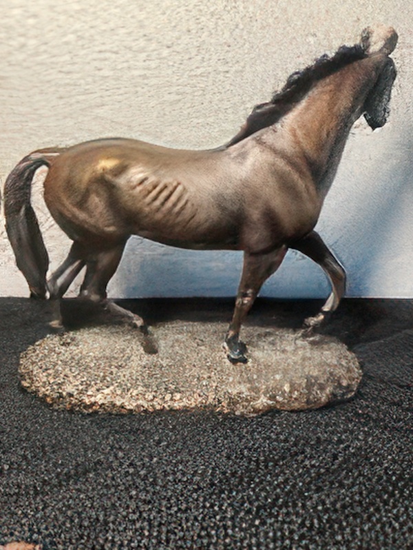 100_2045-a-gigapixel-high fidelity v2-6x.jpg