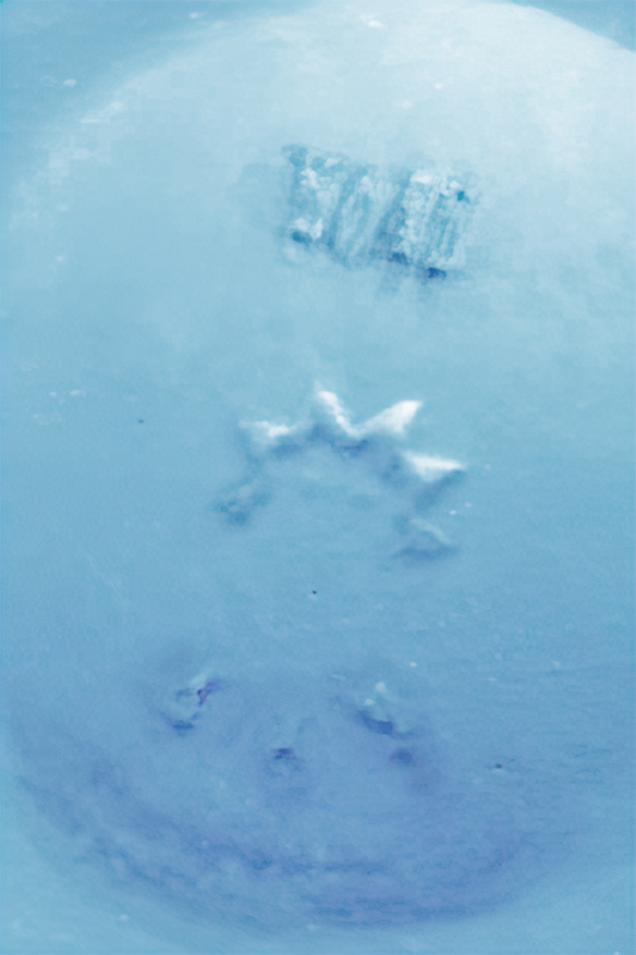 1088728676_o-AA-low_res-scale-2_00.jpg