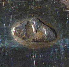 1106 rooster 004.jpg