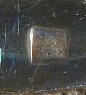 1106 rooster 005.jpg