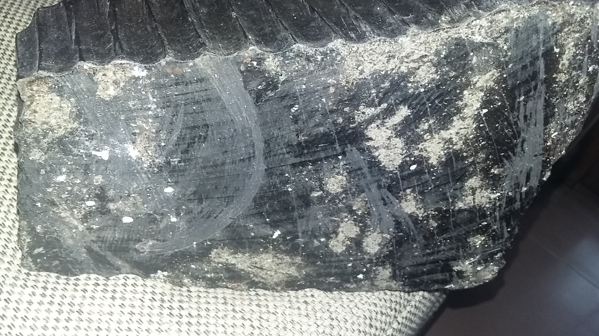 1120170130_152105.jpg