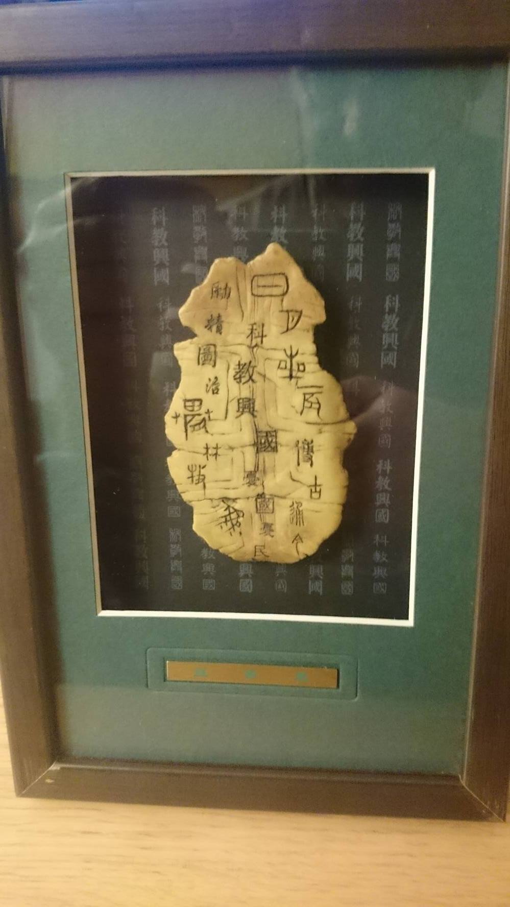 14455836_10207254958192385_173634967_o.jpg