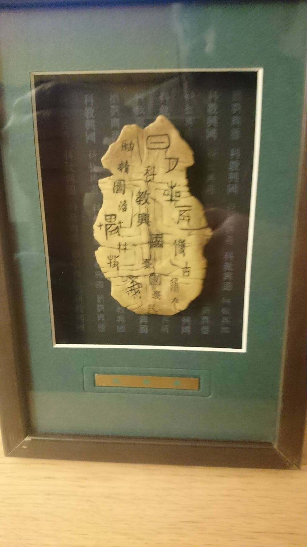 14467021_10207254957832376_529234760_o.jpg