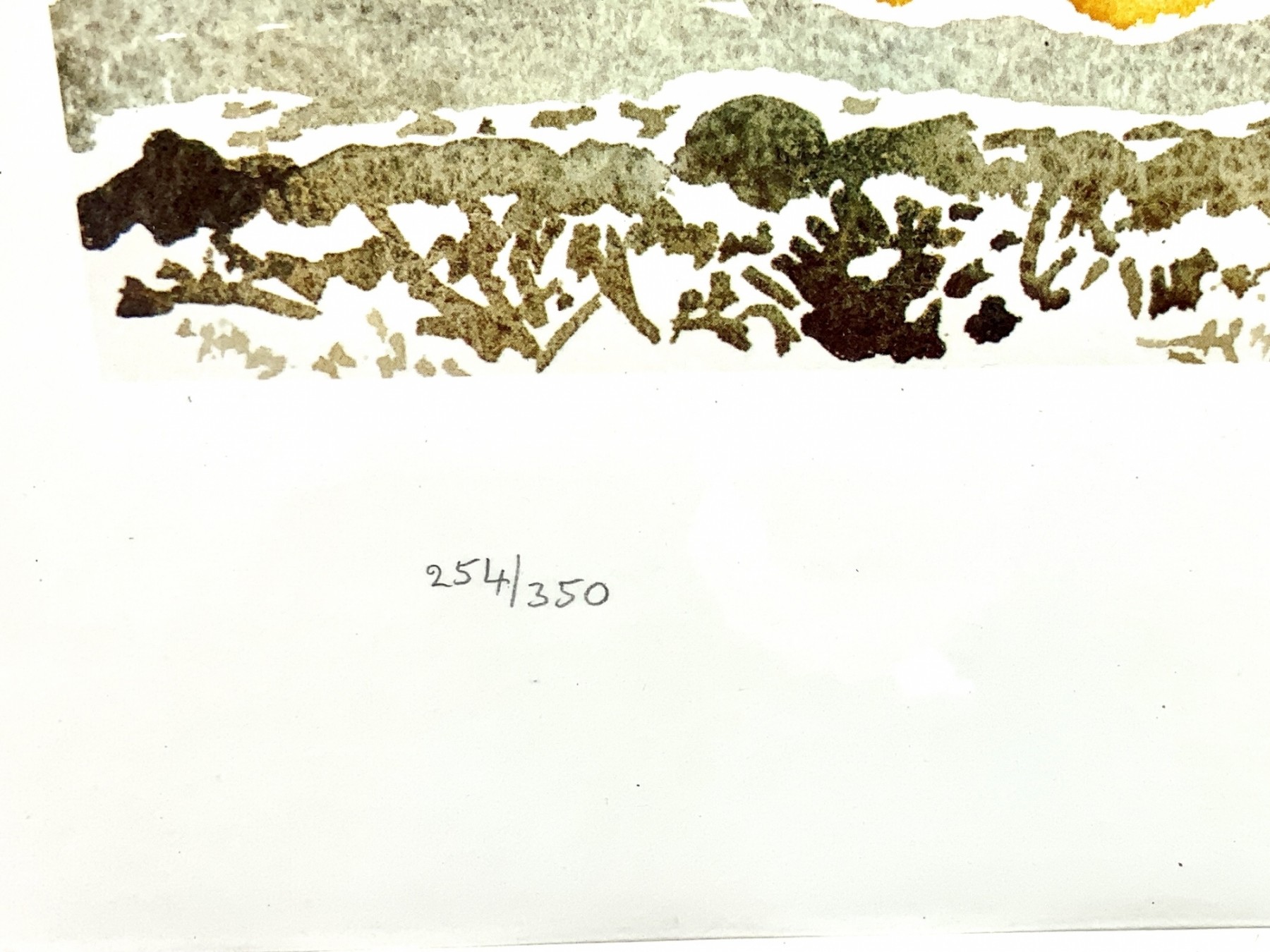 17611037_D7C5FB047D574B0F870567ABD155000A.jpeg