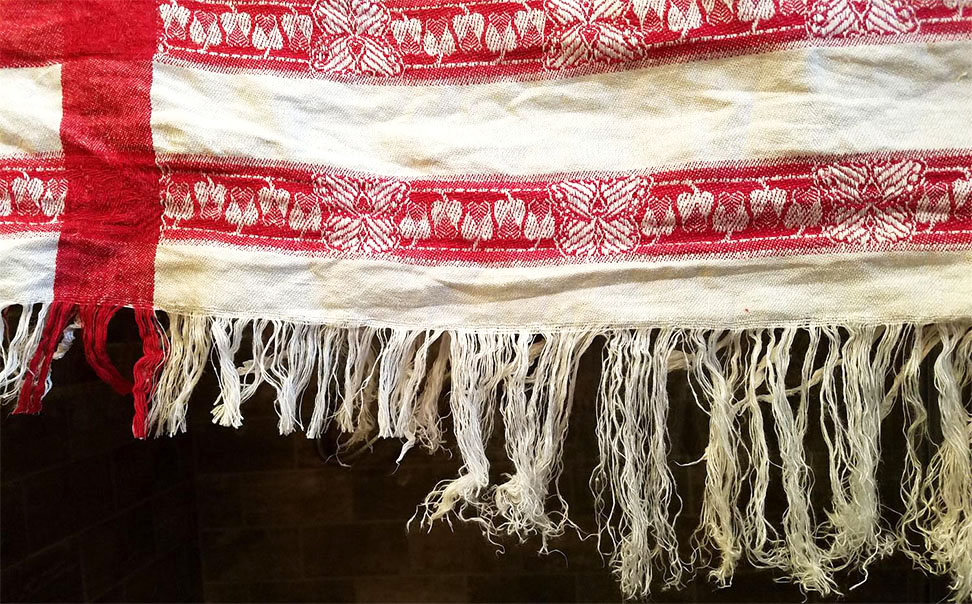 2-First Edited comb n trim.jpg