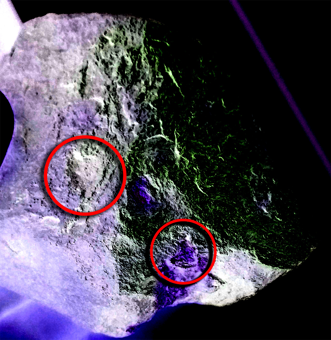 2 HEARTS_200004962.jpg