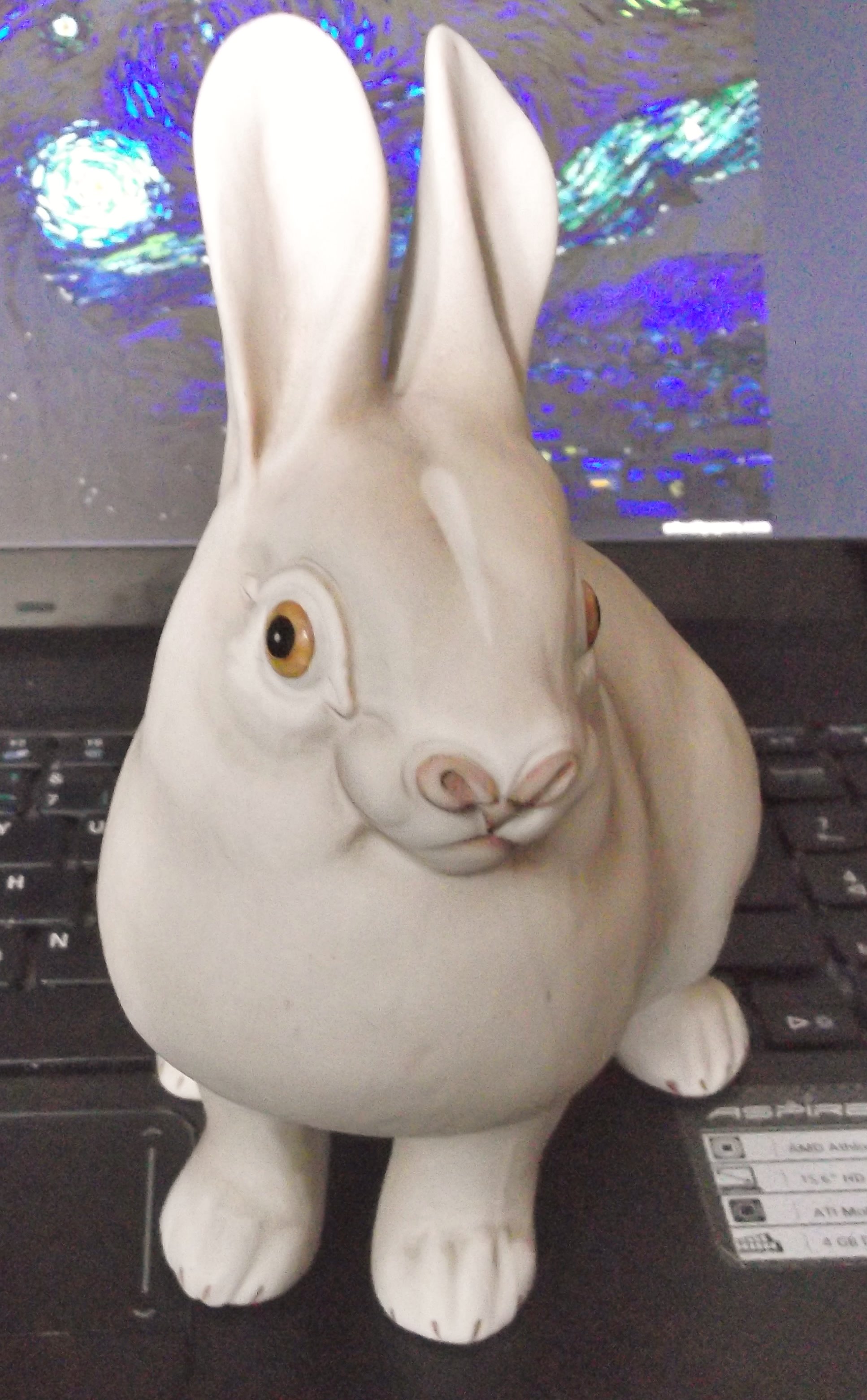 2012-01-02 19.17.54.jpg