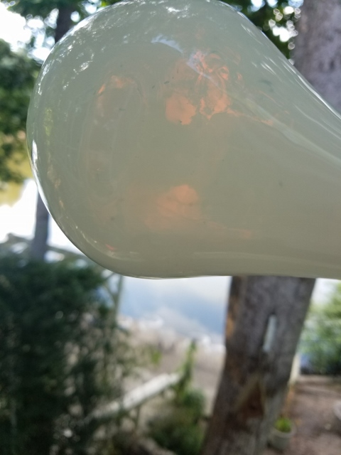 20170628_174637_resized (480x640).jpg