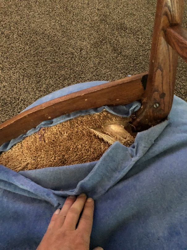 2018 iphone pics 136.JPG