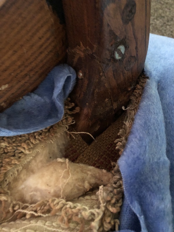 2018 iphone pics 137.JPG