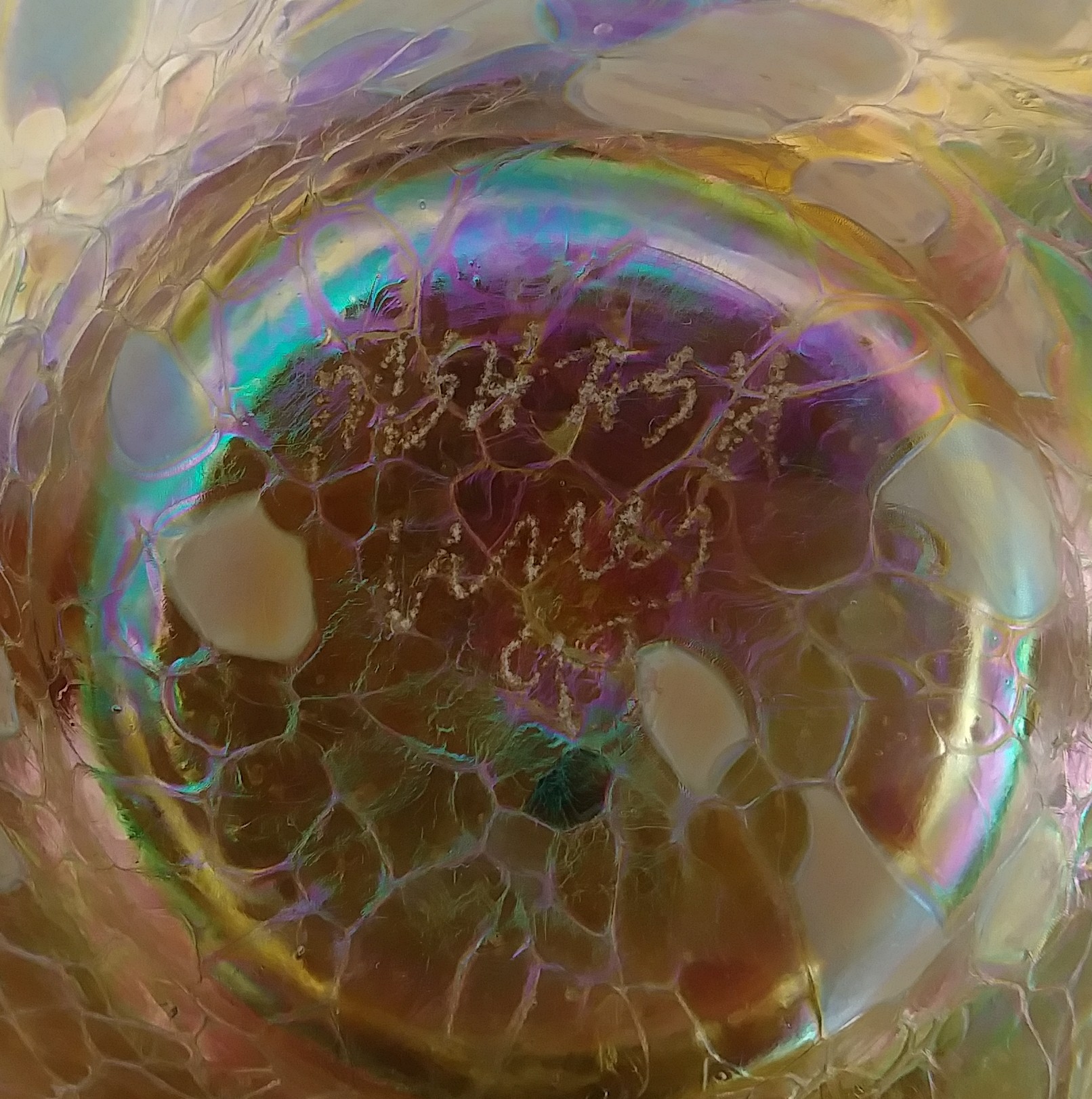 20180414_105926[1].jpg