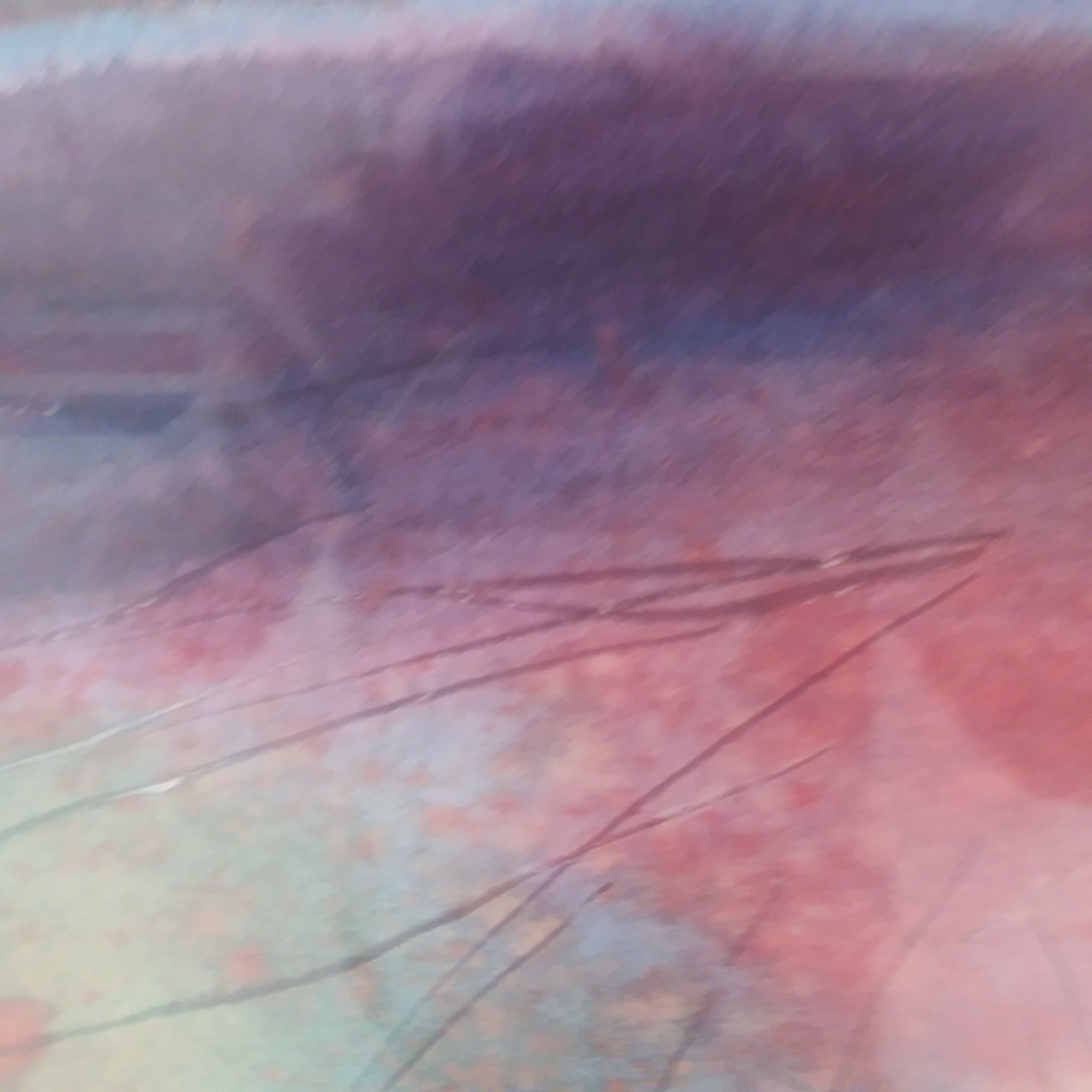 20180428_120126.jpg