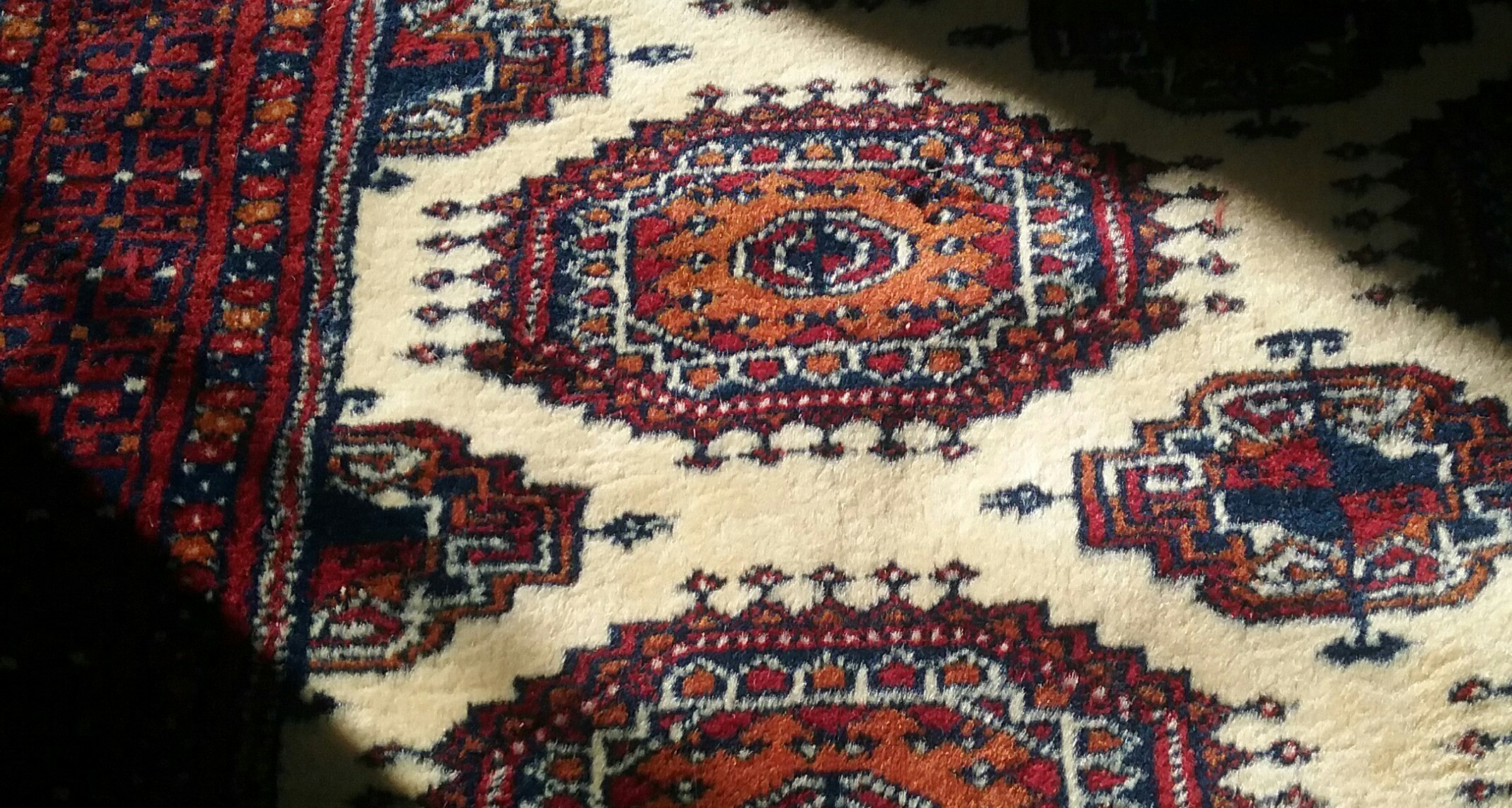 20181025_140107 - Edited.jpg