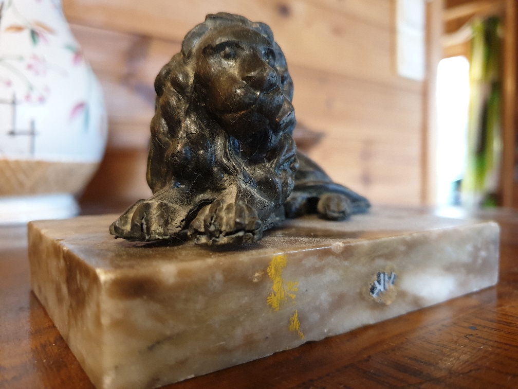 2019-01-29 12.21.59-1.jpg