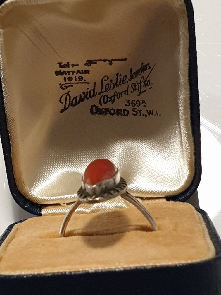 2019-02-10 18.13.21-1.jpg