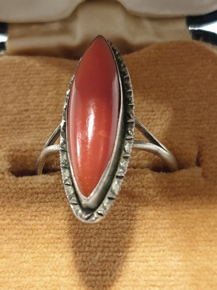 2019-02-10 18.13.34-1.jpg