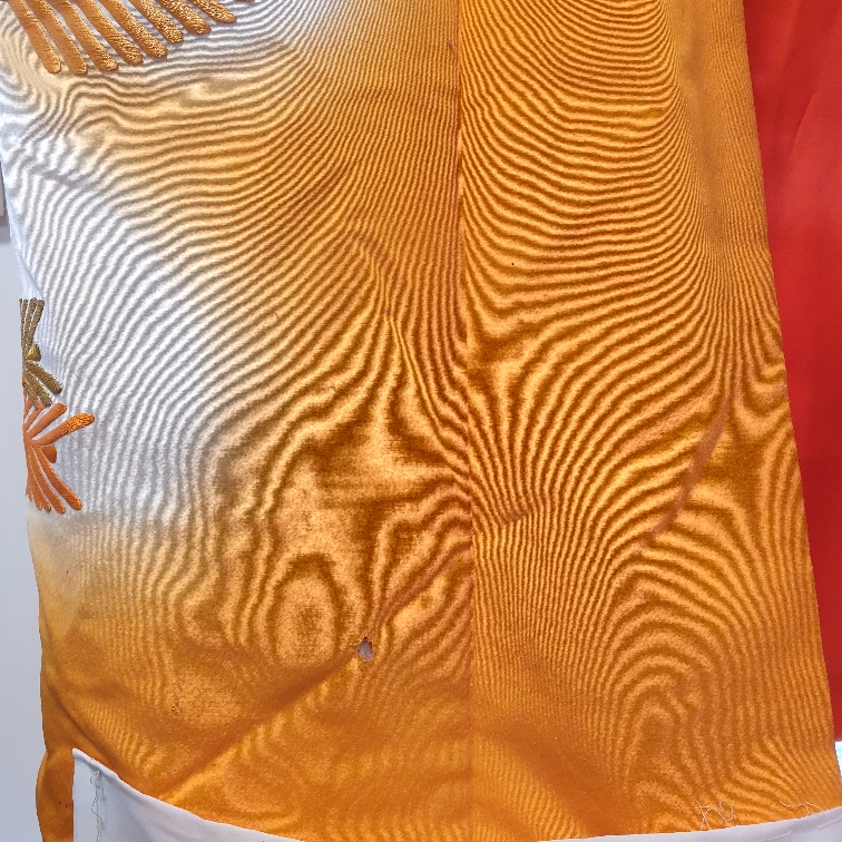 2019-02-17 10.49.11-1.jpg