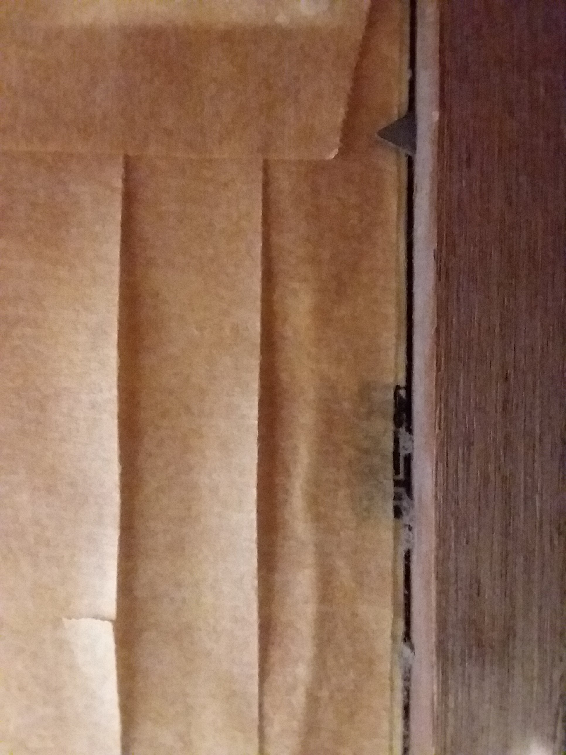 20190201_225436.jpg