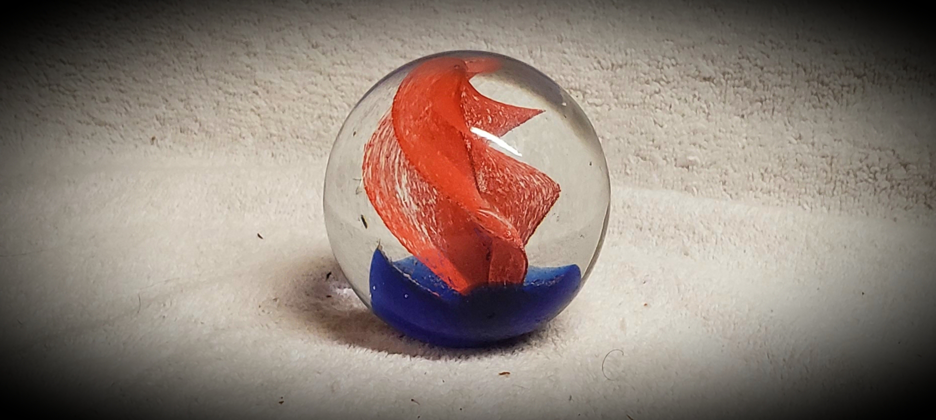 20191009_125354.jpg