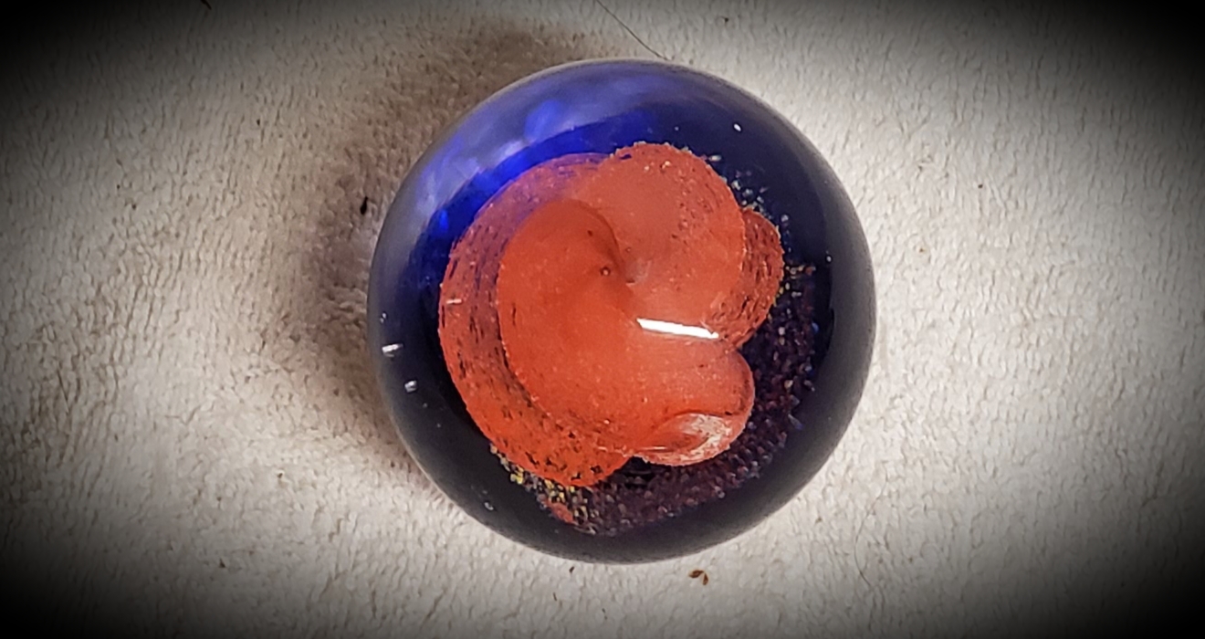 20191009_125426.jpg