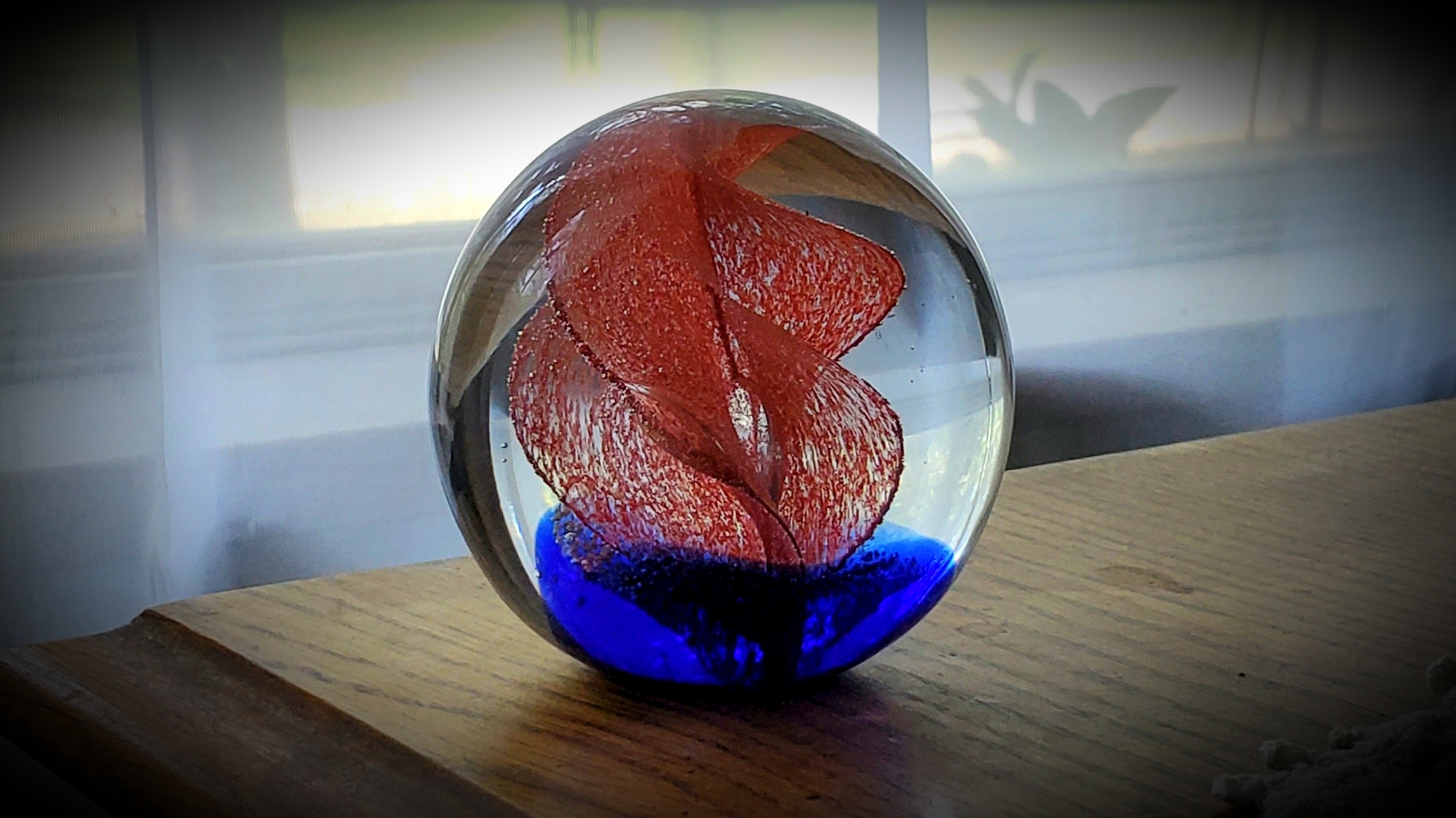 20191009_125635.jpg