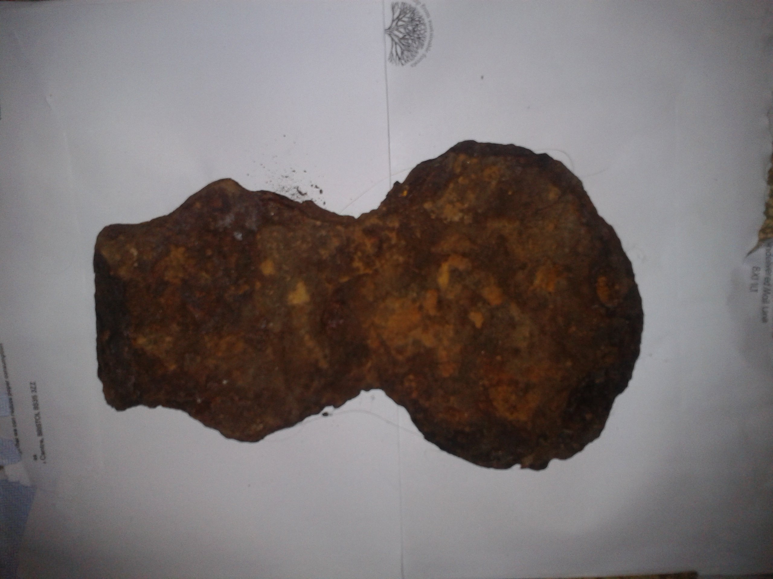 2020-02-26 10.36.37.jpg