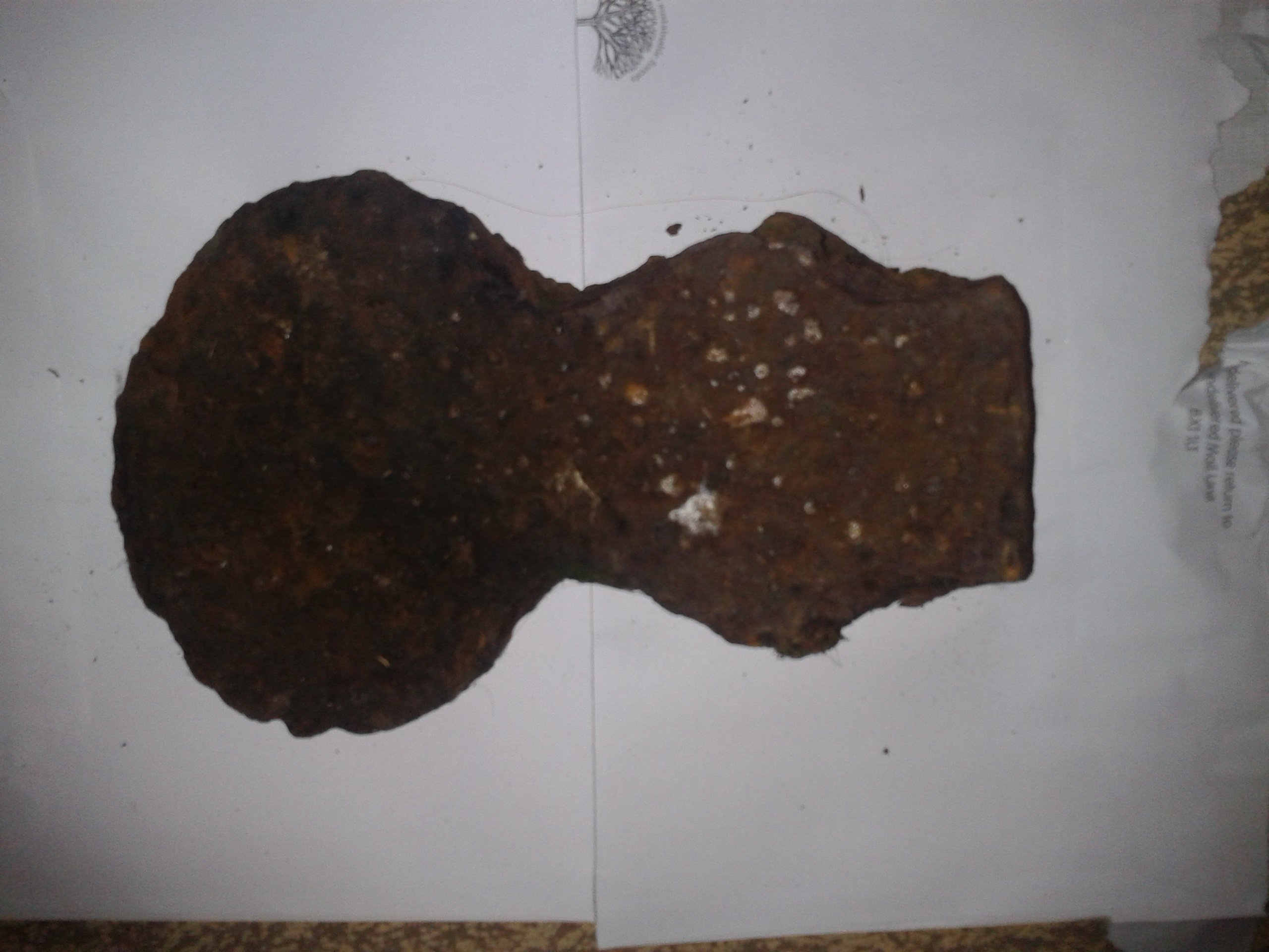 2020-02-26 10.36.59.jpg