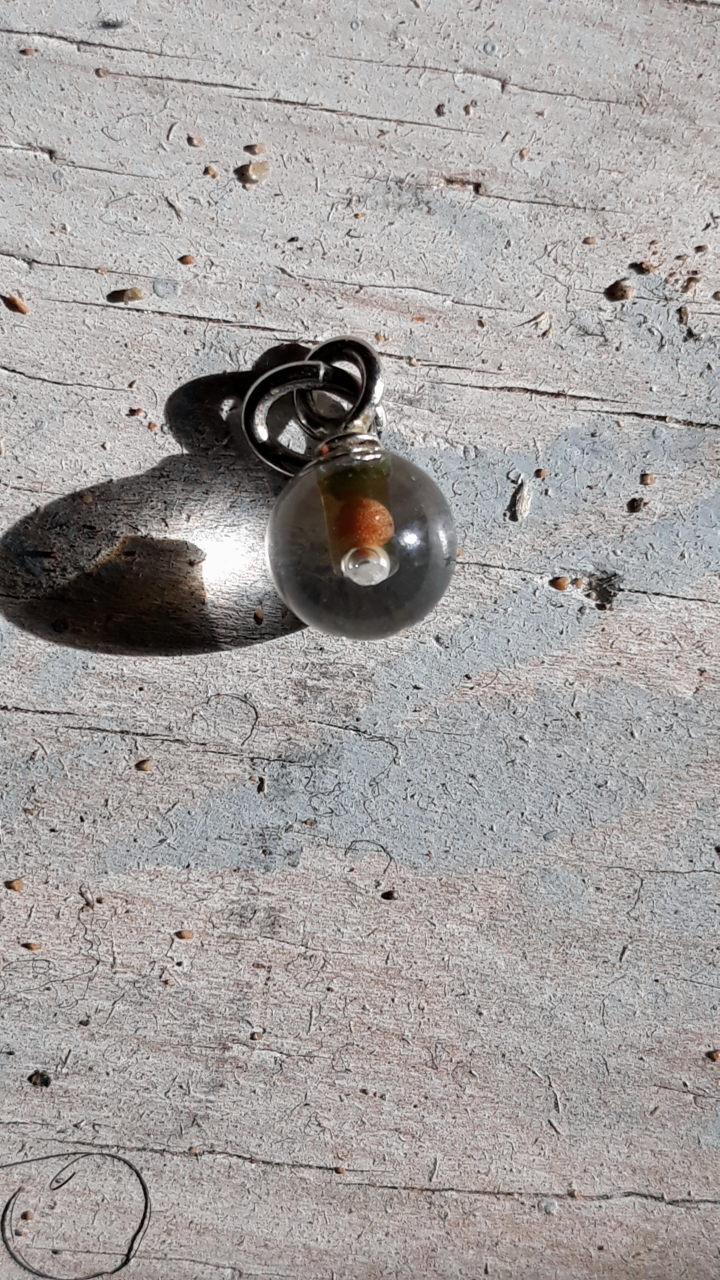 2020-10-31 11-48-45.jpg