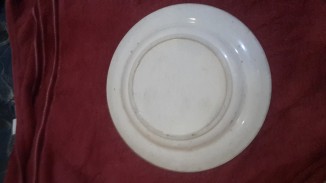 20200424_110935 (1).jpg