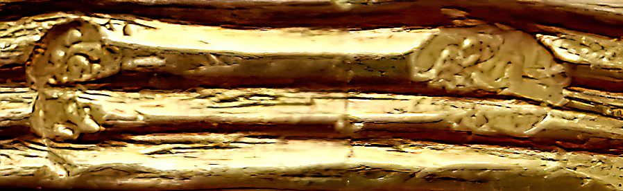 20200519_135305-gigapixel-scale-2_00x.jpg