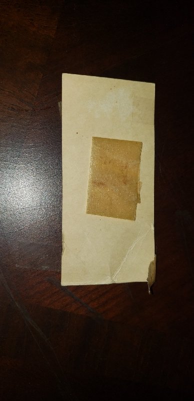 20200902_172249_resize_36.jpg