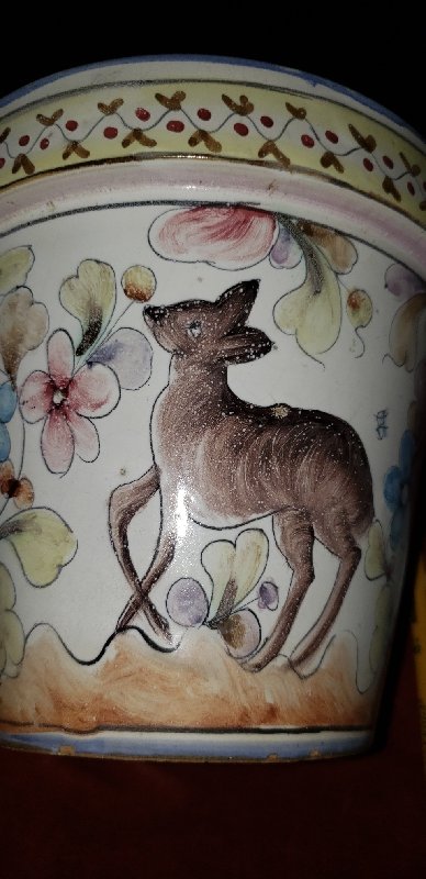 20200903_205650_resize_59.jpg