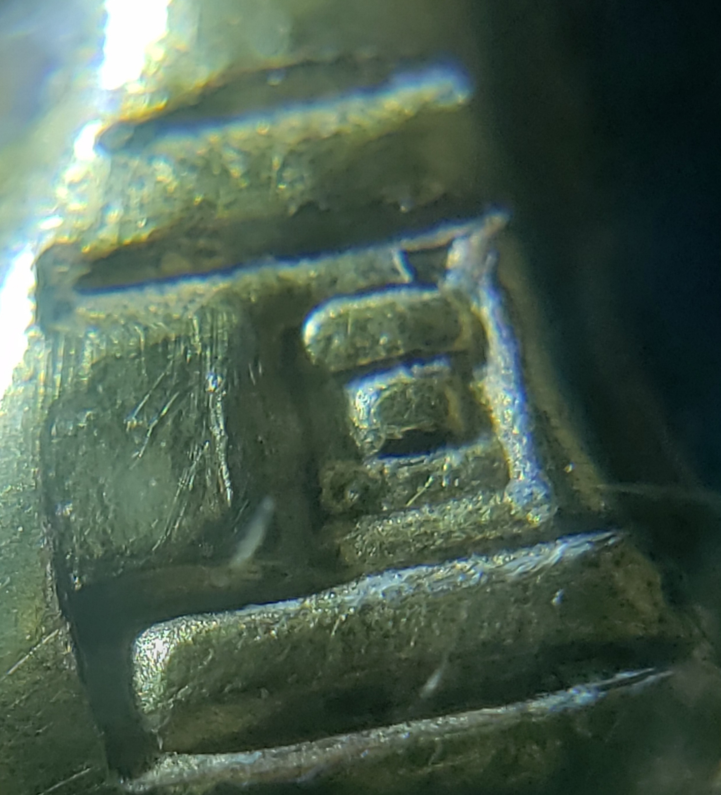 20201017_210117.jpg