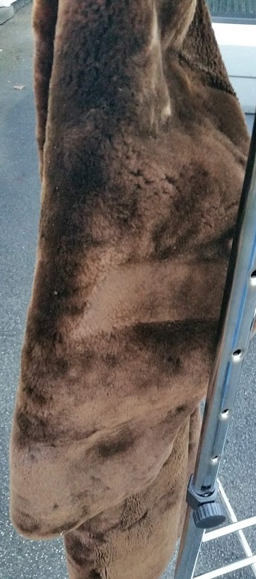 20201215_152414.jpg