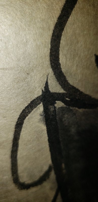 20210304_142556_resize_13.jpg