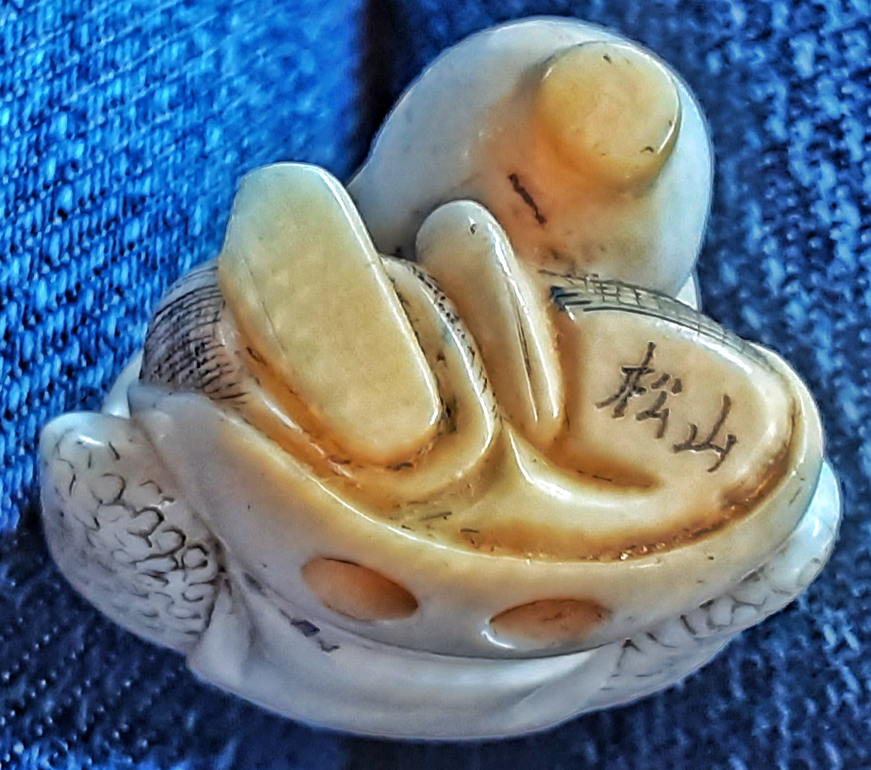 20210727_172431 (1)-01.jpeg