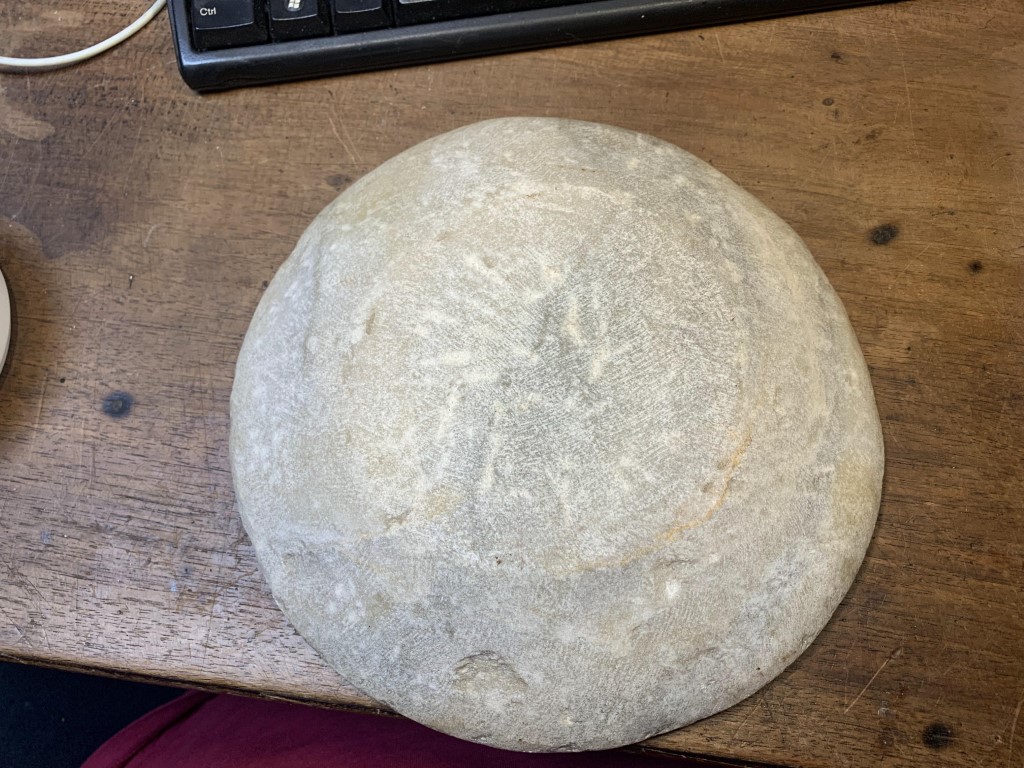 2021_11_20_11_50_IMG_4258 (Middel).JPG