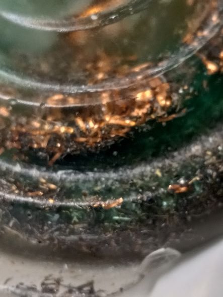 20220125_183646 (1).jpg