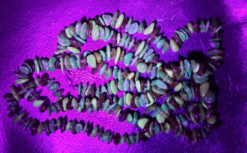 20220910_201659.jpg