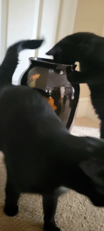 20221017_101502.jpg