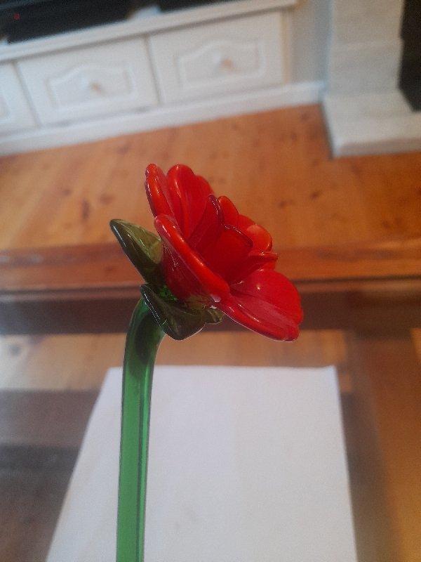 20241015_171534_resize_26.jpg