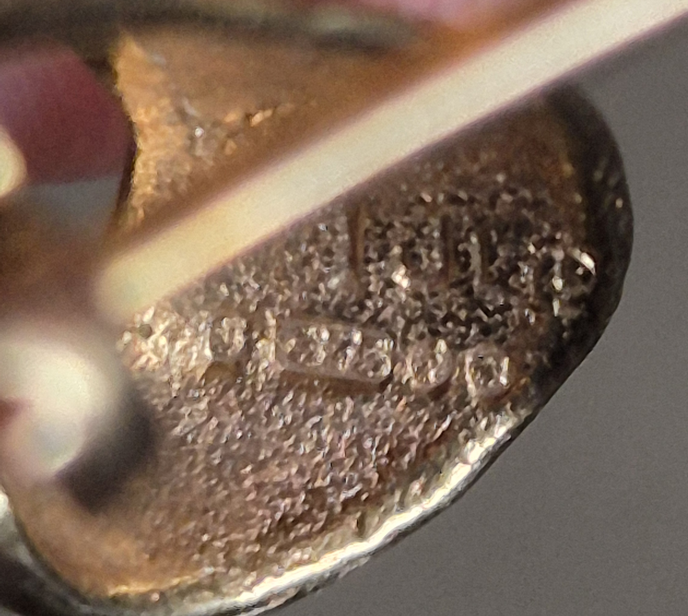 20250820_193337.jpg