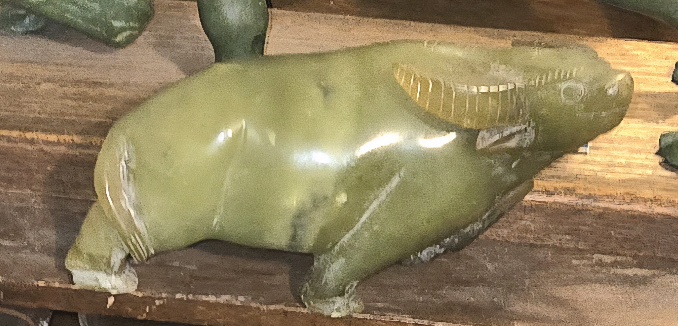 20260108_060437.jpg